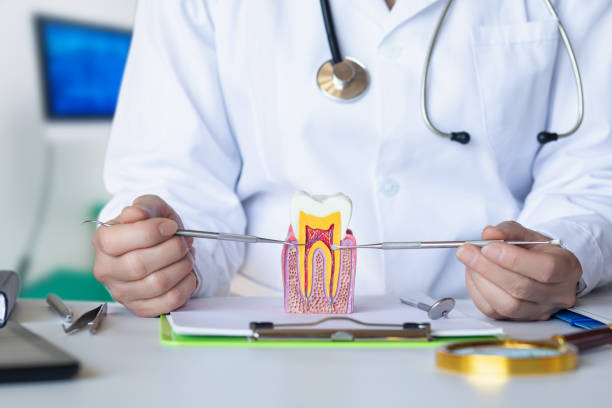 Best Pediatric Emergency Dentist in Trenton, IL